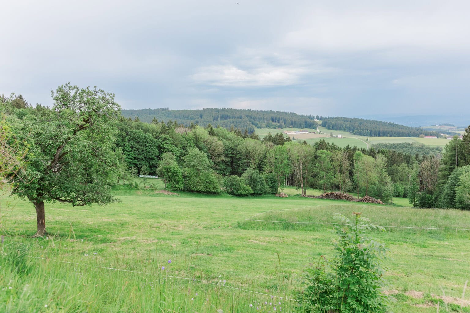 hochzeit eidenbergeralm 17