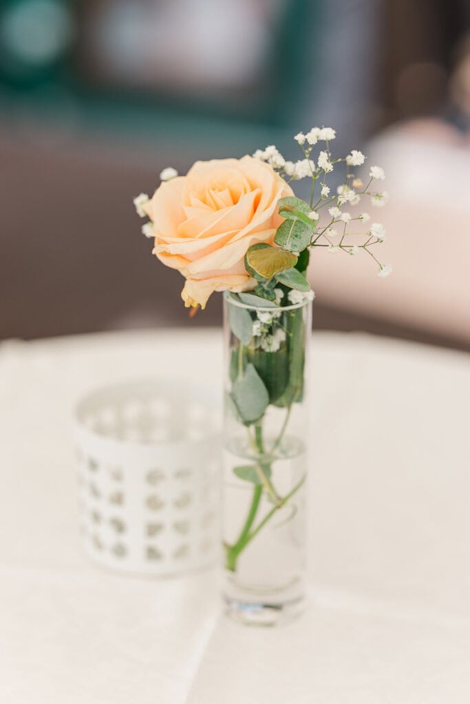 Rose in Vase auf Tisch