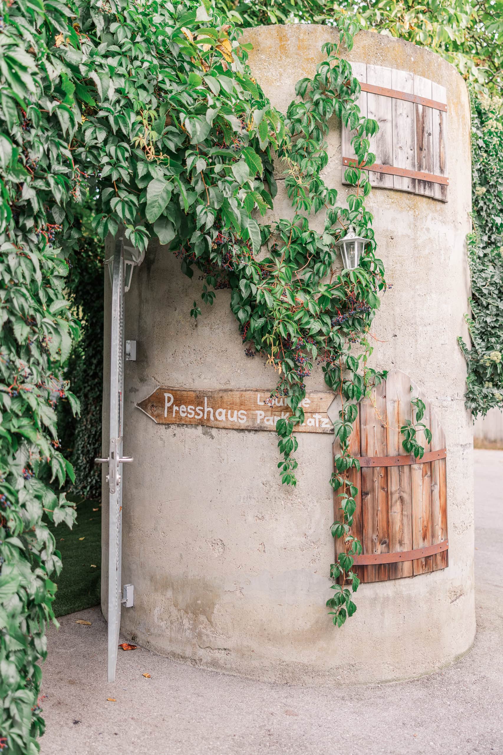 Hochzeit Presshaus Aschach – Eingang zum Garten mit Weinreben umwachsen