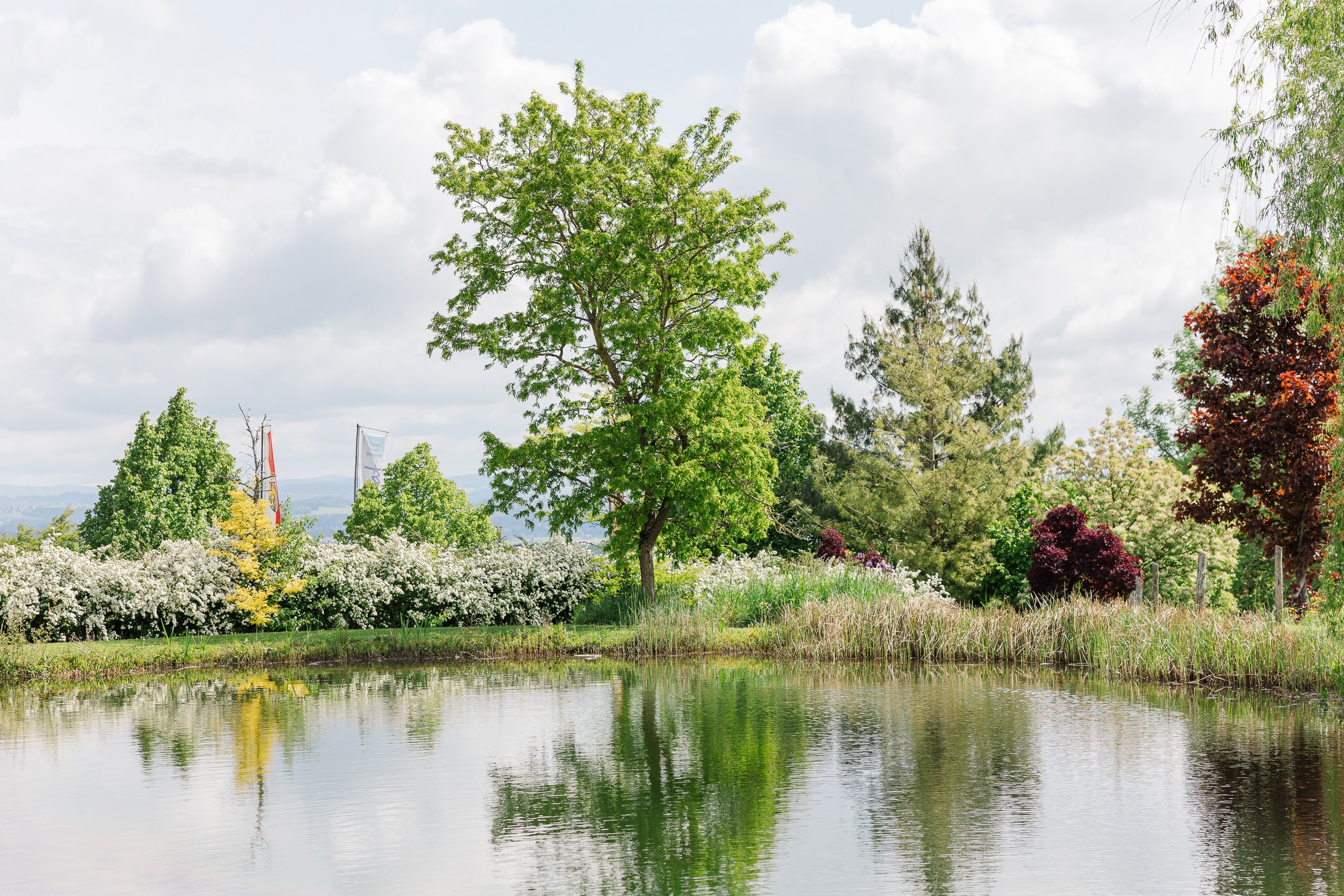 hochzeit hoamat teich