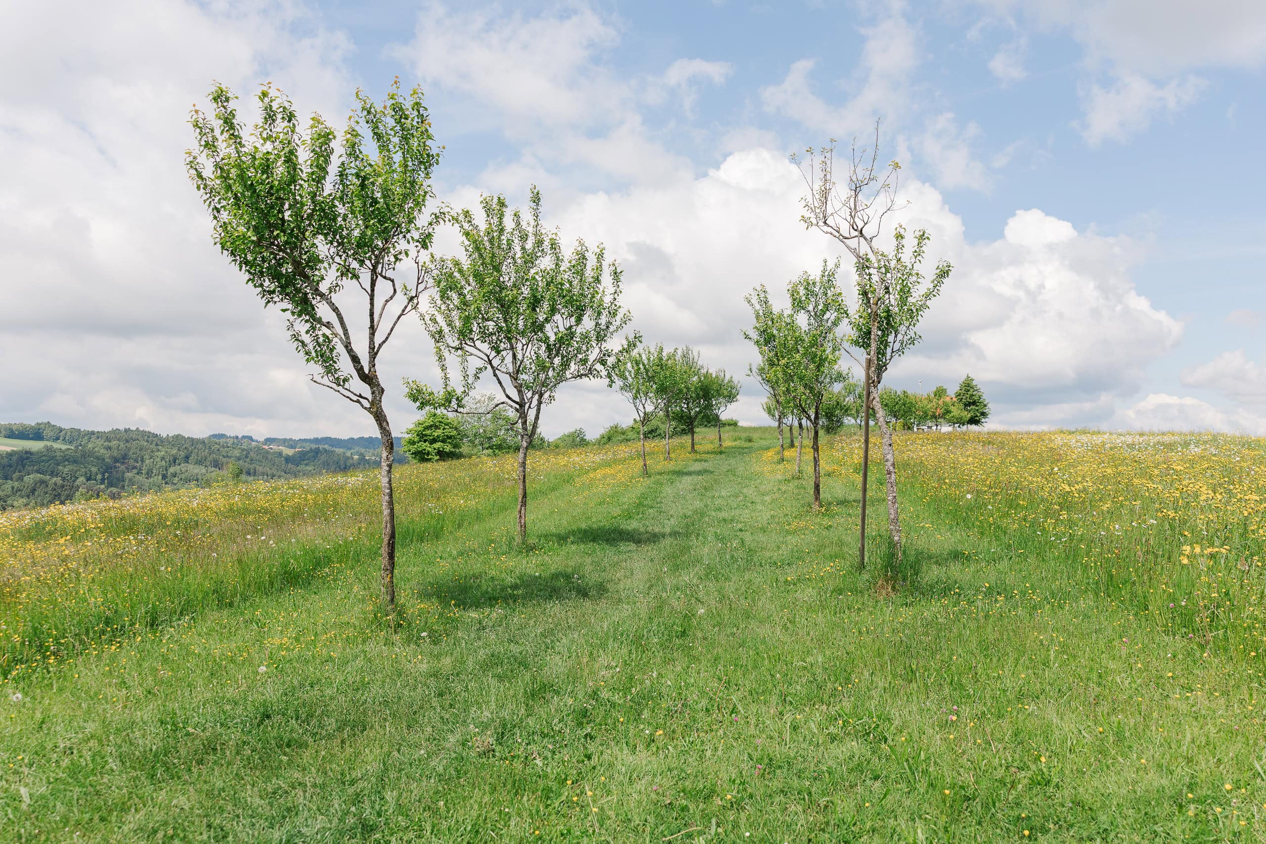 hochzeit hoamat weg zur kapelle