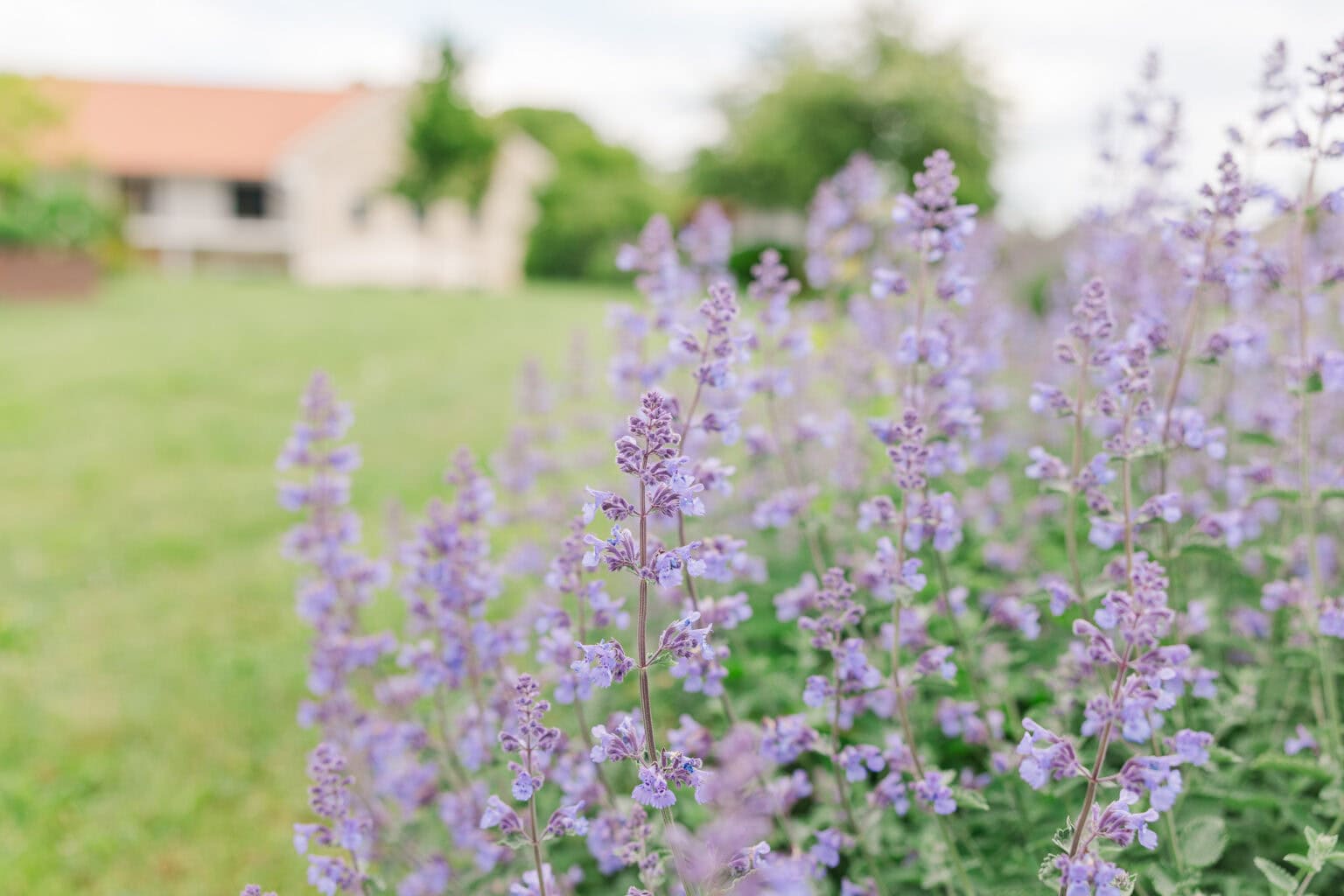 hochzeit schiefermair garten blumen